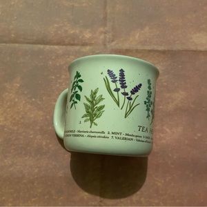 Earthbound Trading Co. Mug